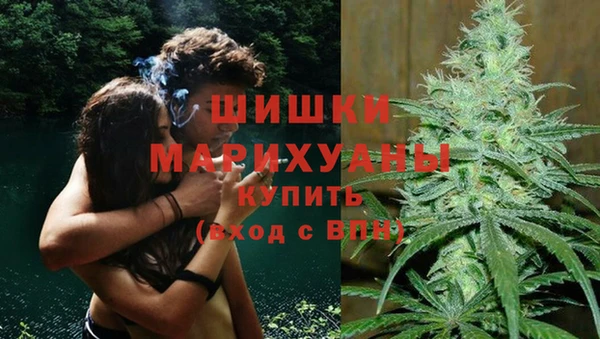 мяу мяу мука Баксан