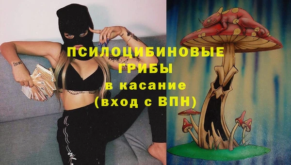 шишки Арсеньев