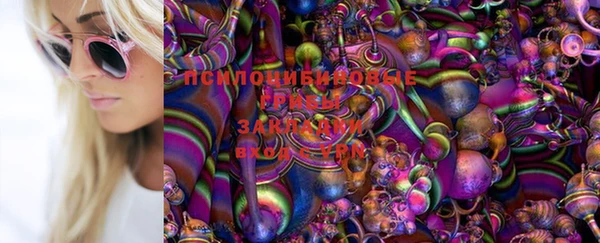 мяу мяу мука Баксан