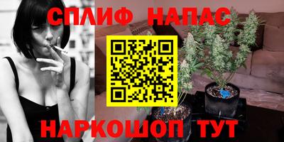 a pvp Ярославль