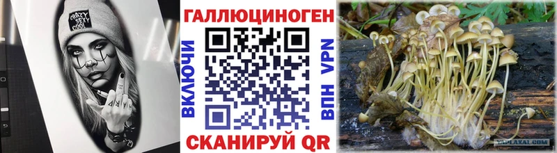 Галлюциногенные грибы Psilocybe купить наркотик Ногинск