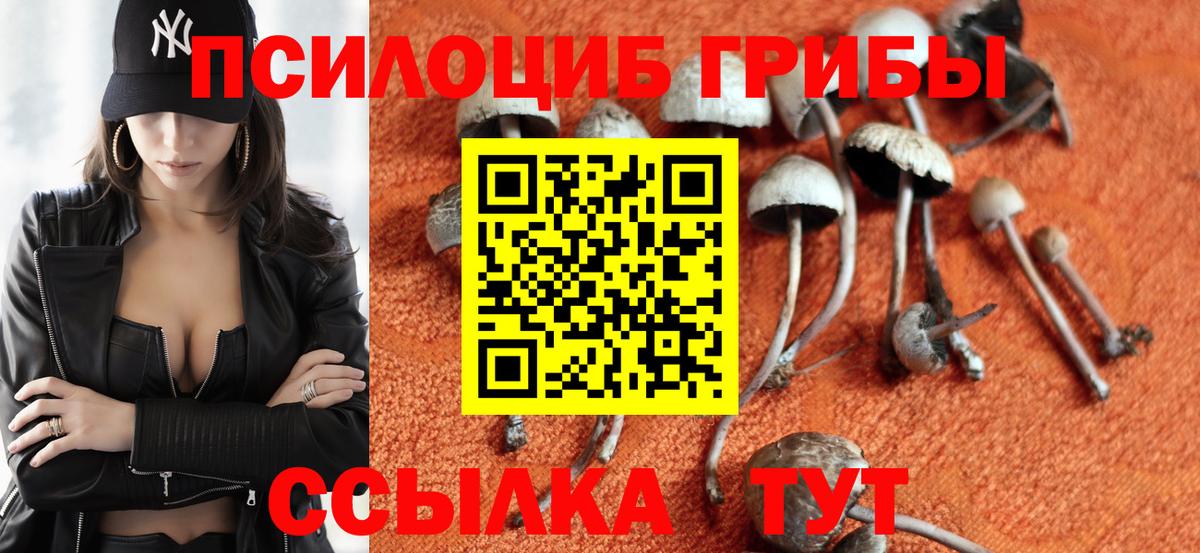 Псилоцибиновые грибы прущие грибы Ногинск