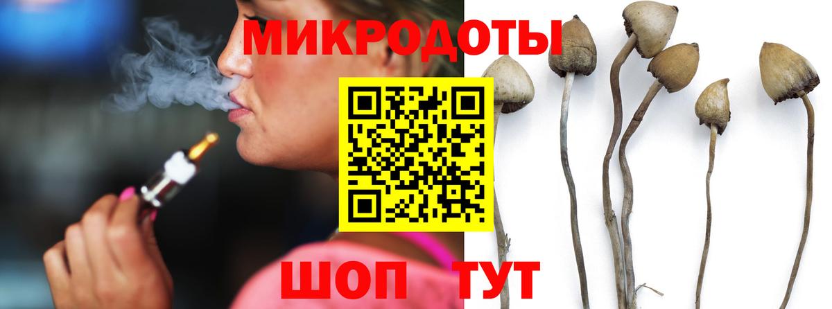 Ногинск  Псилоцибиновые грибы мицелий  Вход с VPN  Галлюциногенные грибы GOLDEN TEACHER 