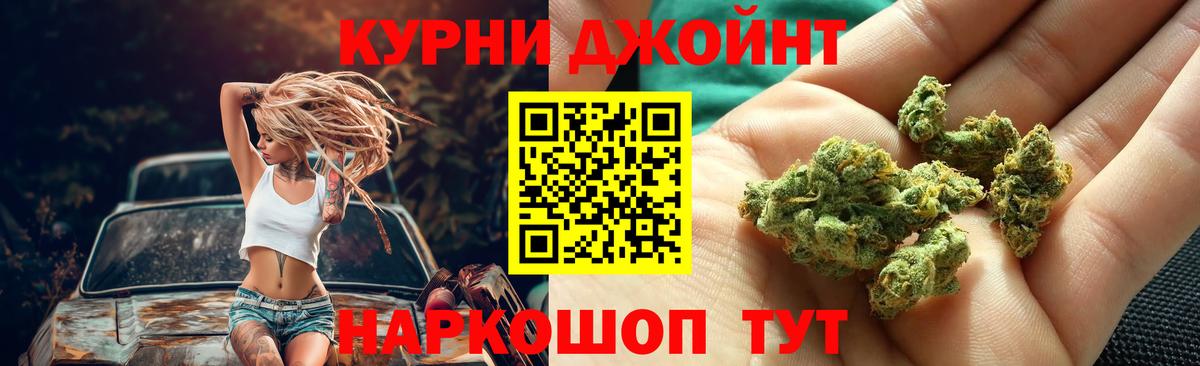 Шишки марихуана марихуана Ногинск